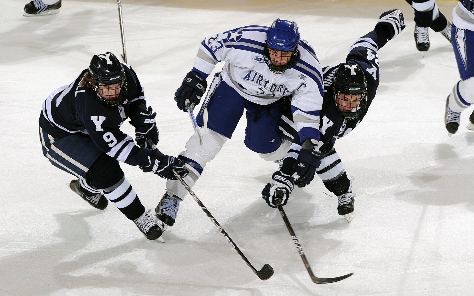 _世界定向越野赛，探索野外未知领域_，定向越野世界排名
